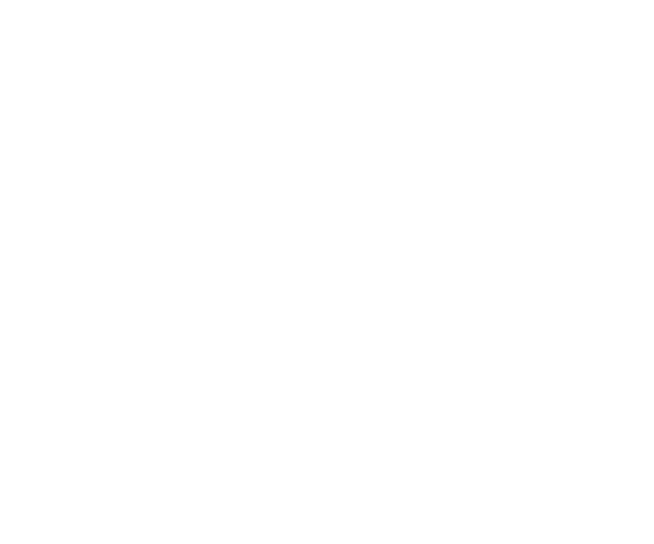 AgileNox